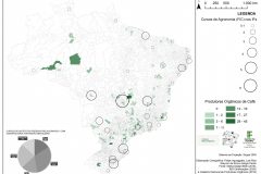 1_Prod.-Org.-Cafe-x-Cursos-Agronomia