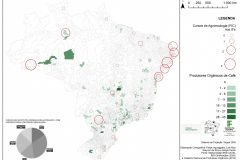 Prod.-Org.-Cafe-x-Cursos-Agroecologia