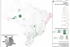 Prod.-Org.-Cafe-x-Matriculados-em-Agroecologia