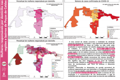 mulheres_responsaveis_por_domicilio